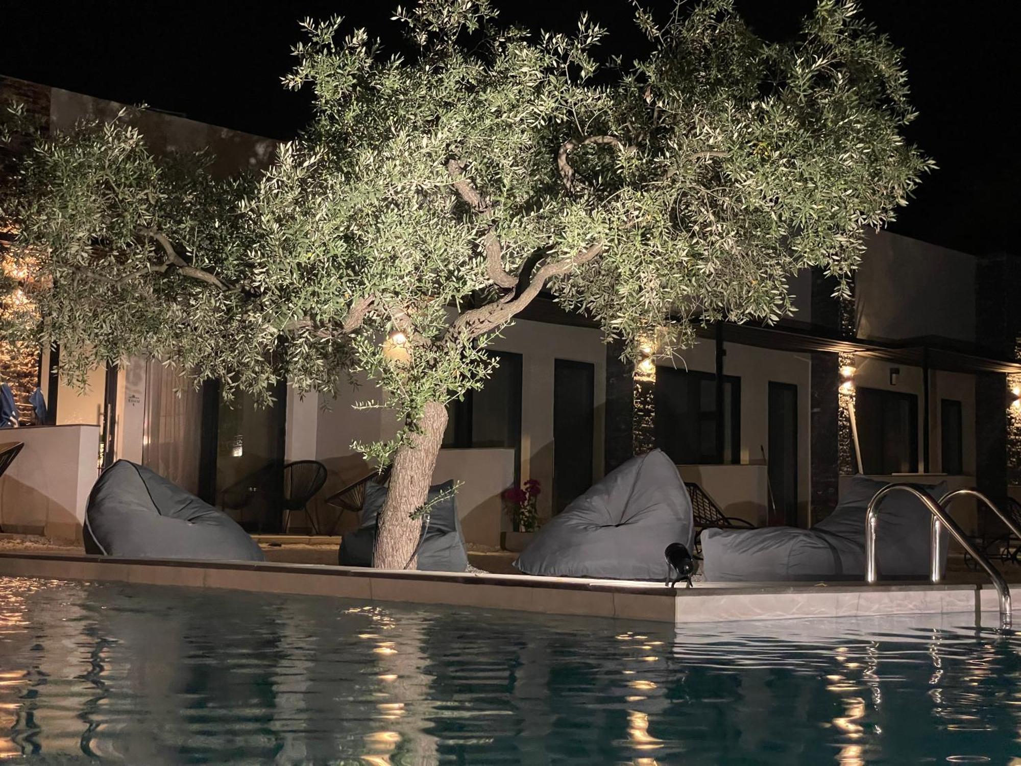 The Olive Hills Hotel Skala Rachoni  Ngoại thất bức ảnh